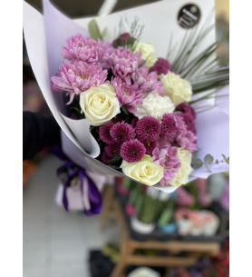 Vip  pembe bordo beyaz karma 1-2